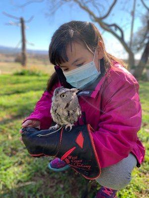 West Coast Falconry