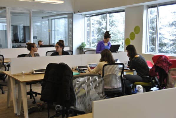 Open desks and coworking area