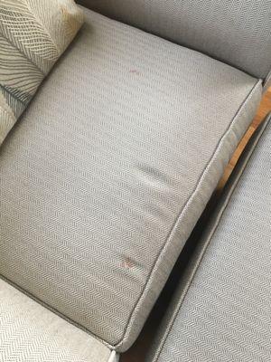 Blood on the chair from the injury. What you can't see, is more blood under the pillow. I didn't notice that until later.