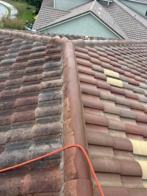 Soft wash roof cleaning