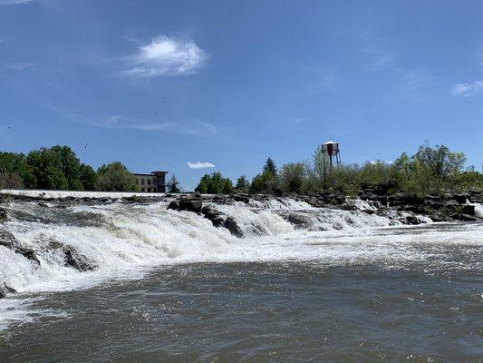 Views from the Snake River Ferry (lower falls location)