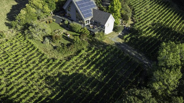 Aerial view of the Halleck Vineyard Estate in Sebastopol. Just 15 minutes from the Barlow.