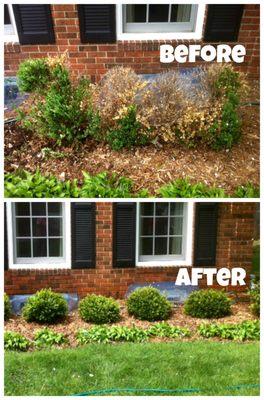 Change is a beautiful thing. Call us when it's time for your yard's transformation!