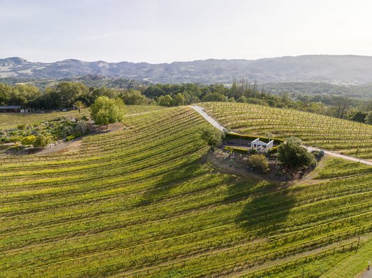 Explore our gorgeous Sonoma Mountain Estate on our award-winning tour, and learn about our sustainable Biodynamic farming practices.