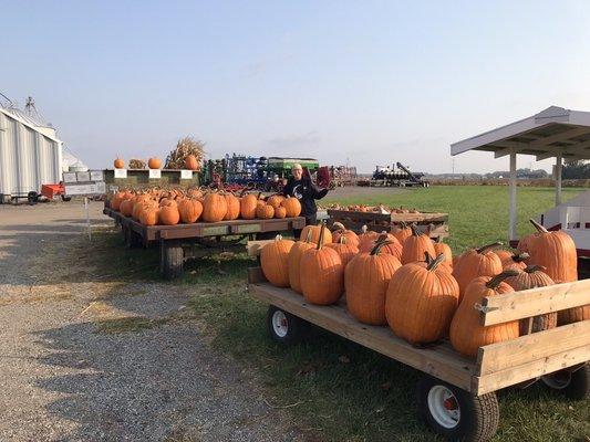 Self-serve pumpkin wagons, straw bales, corn stalks, squash and gourds