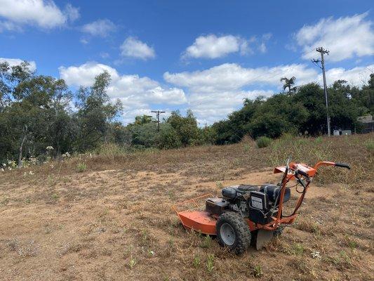 taking down weeds