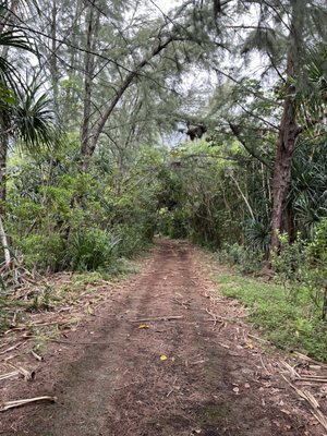 Paved trail to water tower.