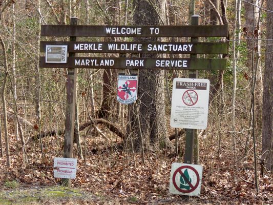 Welcome to the Merkle Wildlife Sanctuary.