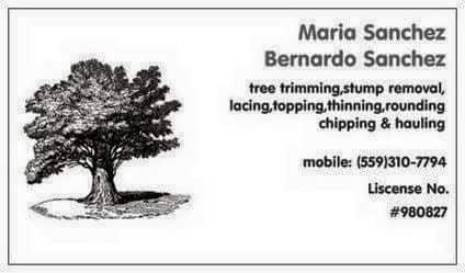 Sanchez Family Tree Experts Maria & Bernardo Sanchez