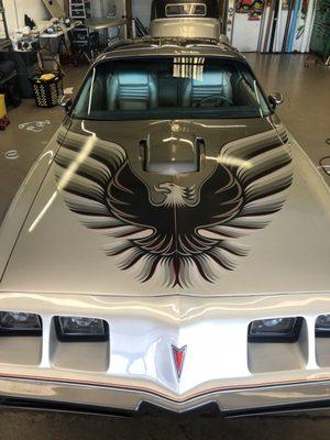 Custom graphics on 1979 trans-am 10th anniversary silver edition