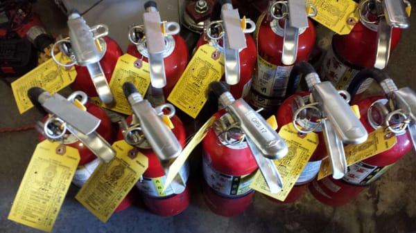 Lots and lots of fire extinguishers