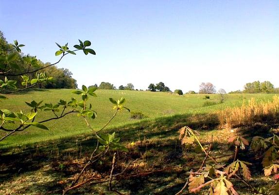 Beautiful Scenic Country view of rolling hills in Missouri from one of the for sale lots from Homestead Crossing