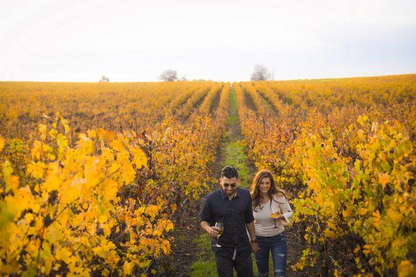 Walking through the vineyards with Lodi Wine in hand.