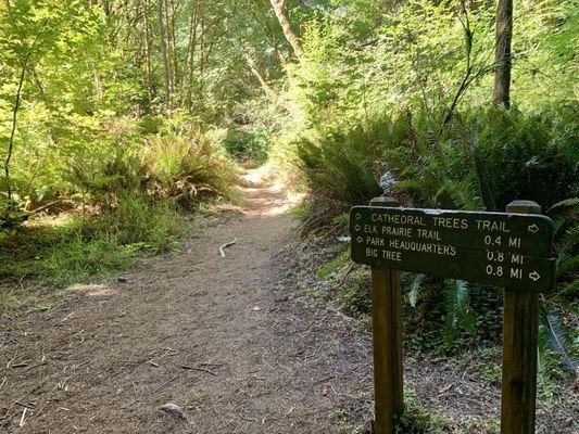 You can pair Cathedral Trees Trail with other worthwhile attractions nearby.