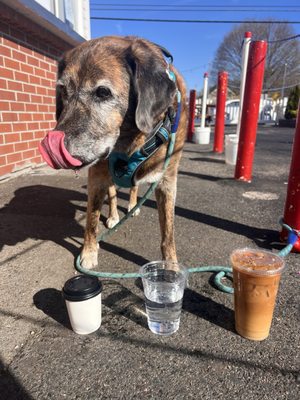 Dirty chai with oat, h20, blackberry lemon latte