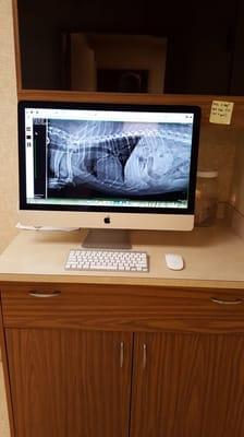 We also have digital radiology