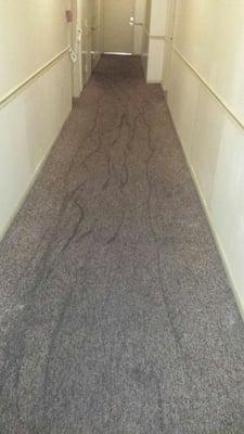 Dirty Hallway carpet in a residential building.