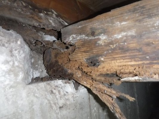 Termite damage under a house.