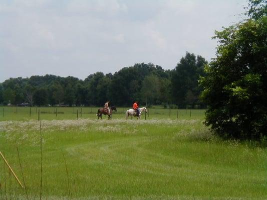 Some of guest bring their horses--pasture is available