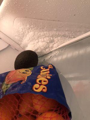 Ice buildup inside the SubZero refrigerator