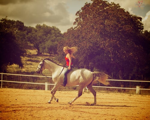 Beautiful facility and always have fun riding my horse in the arena then going out for a nice, relaxing trail ride :)