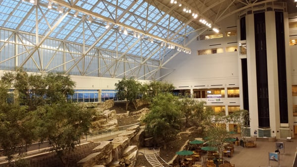 Atrium with glass windows