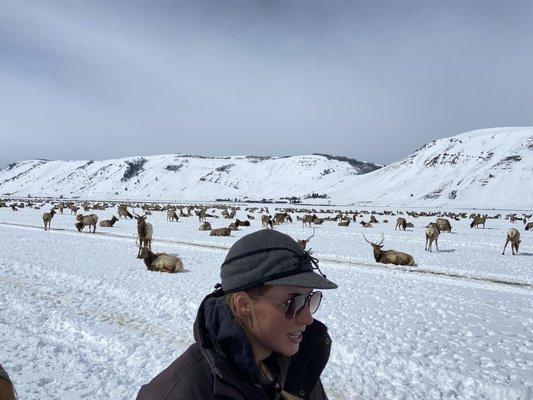 Elk Refuge Sleigh ride - Kylie