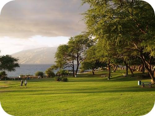 Kamaole Beach Park III across the street from Aloha Dreams Condo at Hale Kamaole offers abundant open space for activities.