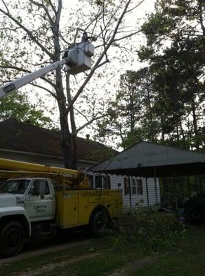 Tree removal in Crossett, Ar