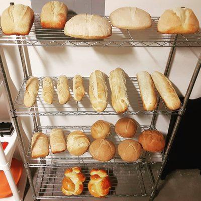 Assortment of bread.