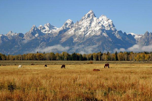 Jackson, WY