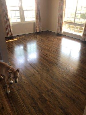 New finish on my floors in Dark Walnut