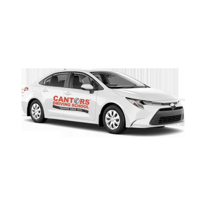 Cantor's Driving School