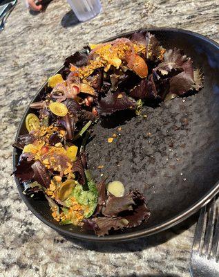 Jiko Salad: Lolla Rosa, Baobab Vinaigrette, Braai'd Stone Fruit, Orange, Spiced Pumpkin Seeds