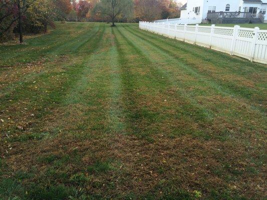 prefect cut  for a perfect lawn