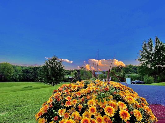 The sunset over the parking lot