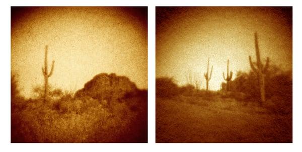 "Sentinel" and "Saguaro Way" by France Scully Osterman & Mark Osterman.