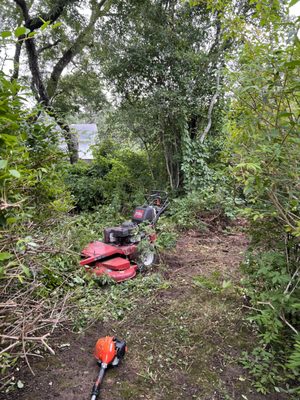 Before and after of clearing brush and trees