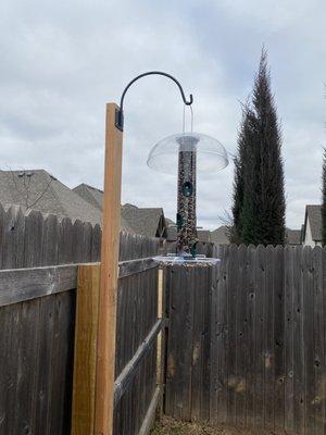 Back yard feeder