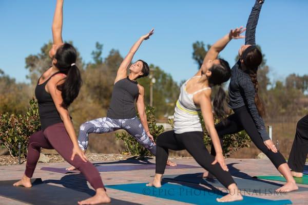 Temecula Yoga in the Vines at Lorimar Winery