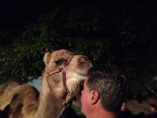 Ava the camel, she's 5 years old