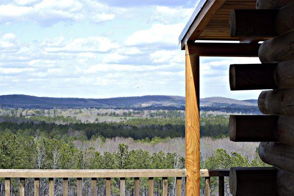 Pine cabin view to the North