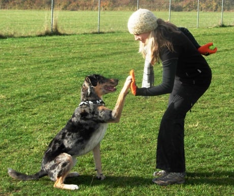 "Okay, I'm giving you a high 5 - now throw the ball, please!"