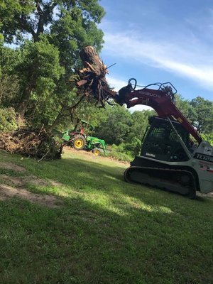 Tree grubbing