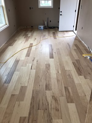 Beautiful hardwood