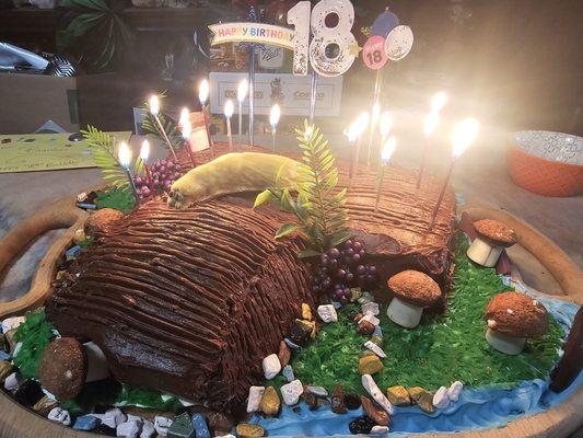 My sons 18th Birthday cake with the slug, fish, and mushrooms from Kenny's Chocolates