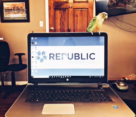 We here at Republic State Mortgage know the importance of teamwork. "Birds of a feather, flock together."  (gotta love dorky 'dad puns')