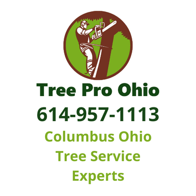 Tree Pro Ohio