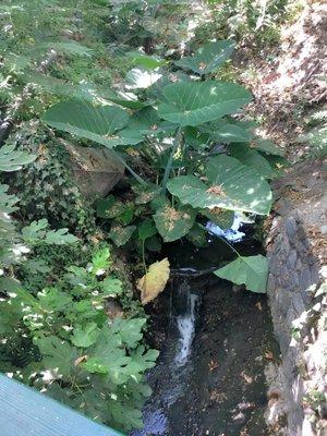 Tiny Waterfall