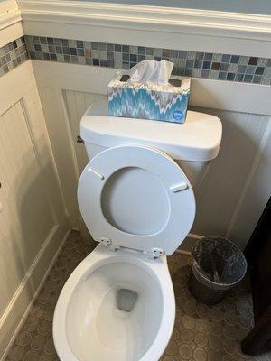 Spotless toilet